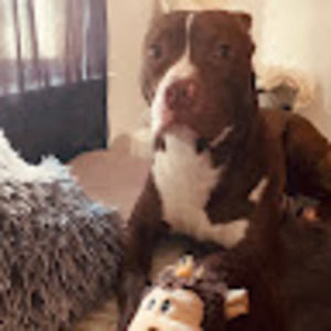 Meet your Posher, Emma